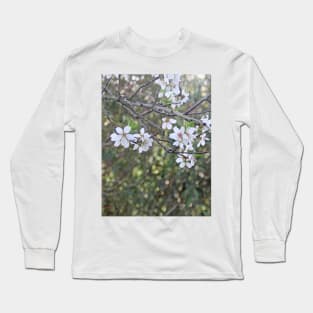 Almond tree branches and flowers Long Sleeve T-Shirt